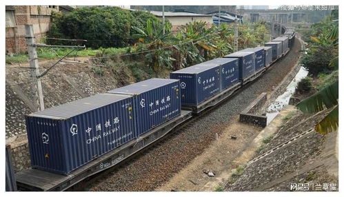 動真格的了 西北第一城,要為比亞迪建鐵路專線,釋放什么信號