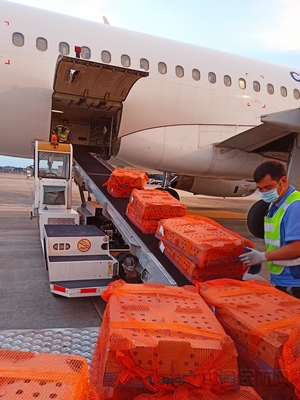 柳州機(jī)場貨運:特殊旅客&ldquo;雞苗&rdquo;運輸背后的故事