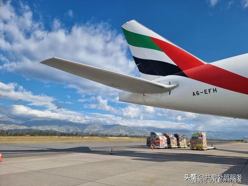 阿聯(lián)酋航空貨運(yùn)公司Emirates SkyCargo 情人節(jié)禮物貨運(yùn)高峰揭秘