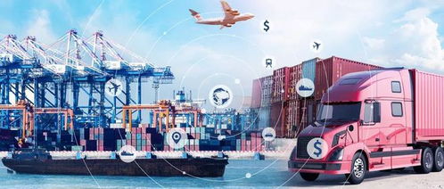 把握數(shù)字經(jīng)濟(jì)時(shí)代脈搏 貨運(yùn)物流業(yè)迎來新篇章